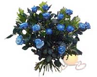  Ankara balgat �i�ek�ilik �i�ek , �i�ek�i , �i�ek�ilik  11 adet mavi g�l �zel tanzim