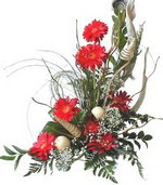  Ankara etlik �i�ek�ilik kaliteli taze ve ucuz �i�ekler kavakl�dere  Kirmizi gerbera �zel tanzim