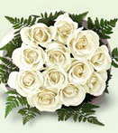  bat�kent �i�ek�ilik hediye sevgilime hediye �i�ek konutkent  12 adet beyaz g�l buket