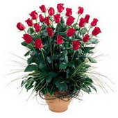  Ankara buket çiçekçilik uluslararası çiçek gönderme ulus  10 adet kirmizi gül cam yada mika vazo