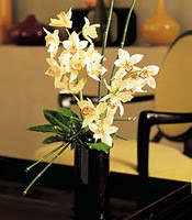  Ankara iekilik iekiler ankaya  cam yada mika vazo ierisinde dal orkide