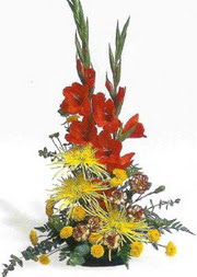  bat�kent �i�ek�ilik hediye sevgilime hediye �i�ek konutkent  glay�r ve mevsim �i�ekleri