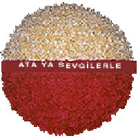 arma anitkabire - mozele i�in  Ankara anatolia �i�ek�ilik �i�ek g�nderme sitemiz g�venlidir 