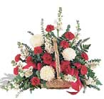 sepet i�erisinde karanfiller    Ankara anatolia �i�ek�i �i�ek yolla  