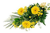 sari gerbera ve sari �i�ek   Ankara �i�ek�ilik �nternetten �i�ek sipari�i  