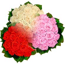 3 renkte g�l seven sever   Ankara balgat �i�ek�ilik �i�ek , �i�ek�i , �i�ek�ilik 