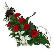 7 adet g�l ve kazablanka   �i�ek�ilik ucuz �i�ek g�nder 