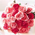 11 adet renkli g�l buketi   �i�ek�ilik �i�ek servisi , �i�ek�i adresleri g�lba�� 