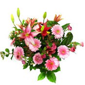 lilyum ve gerbera �i�ekleri - �i�ek se�imi -  Ankara anatolia �i�ek �i�ek g�nderme 