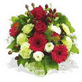 karanfil gerbera ve g�ller - d�s�nenelere �zel -  Ankara anatolia �i�ek �i�ek g�nderme 