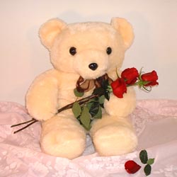 3 g�l ve oyuncak ayicik   Ankara balgat �i�ek�ilik �i�ek , �i�ek�i , �i�ek�ilik 