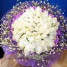 71 adet beyaz g�l buketi   Ankara balgat �i�ek�ilik �i�ek , �i�ek�i , �i�ek�ilik 