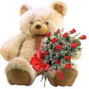 kocaman ayicik ve 10 g�l   Ankara balgat �i�ek�ilik �i�ek , �i�ek�i , �i�ek�ilik 
