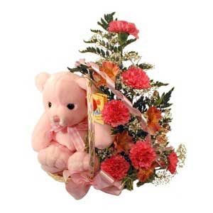 sepette karanfiller ve ayicik   Ankara balgat �i�ek�ilik �i�ek , �i�ek�i , �i�ek�ilik 