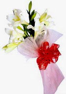  Ankara balgat �i�ek�ilik �i�ek , �i�ek�i , �i�ek�ilik  ince vazoda gerbera ve ayi