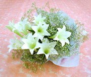 lilyum demeti 3 adet lilyum  Ankara etlik �i�ek�ilik kaliteli taze ve ucuz �i�ekler kavakl�dere 