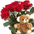 11 adet g�l ve ayicik buket   Ankara anatolia �i�ek�i �i�ek yolla  