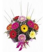 karisik gerbera �i�ekleri  Ankara anatolia �i�ek�i �i�ek yolla  