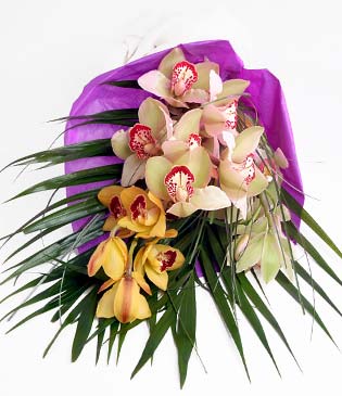  Ankara sevgilime cicekciler , cicek siparisi keiren  1 adet dal orkide buket halinde sunulmakta