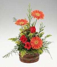  Ankara sevgilime cicekciler , cicek siparisi ke�i�ren  sepet i�erisinde 3 g�l ve 3 gerbera tanzimi