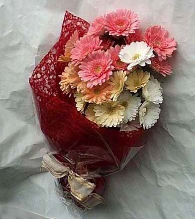 19 adet karisik gerbera buketi  hediye �i�ek�ilik cicek , cicekci bat�kent