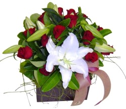  hediye �i�ek�ilik cicek , cicekci bat�kent 13 adet kirmizi g�l ve kazablanka