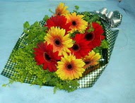 t�l i�erisinde gerbera �i�ekleri 11 adet  hediye �i�ek�ilik cicek , cicekci bat�kent