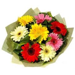 9 adet karisik gerbera demeti  Ankara g�lba�� �i�ek�ilik �i�ek ma�azas� , �i�ek�i adresleri incek 