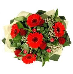  �i�ek�ilik ucuz �i�ek g�nder   5 adet kirmizi g�l 5 adet gerbera demeti