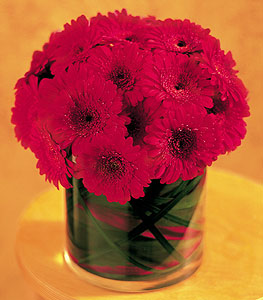  �i�ek�ilik ucuz �i�ek g�nder  23 adet gerbera �i�egi sade ve sik cam i�erisinde