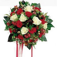  �i�ek�ilik ucuz �i�ek g�nder  6 adet kirmizi 6 adet beyaz ve kir �i�ekleri buket