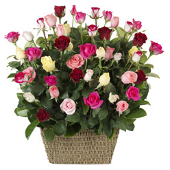 41 adet karisik gül sepeti   Ankara yenimahalle çiçekçilik çiçek siparişi vermek kızılay 