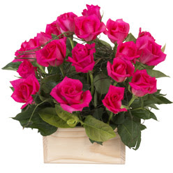 12 adet pembe g�llerden sepet tanzimi  Ankara yurti�i ve yurtd��� �i�ek sipari�i demetevler 