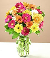  Ankara hacettepe çiçekçilik çiçek online çiçek siparişi çayyolu  17 adet karisik gerbera