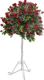  Ankara eryaman �i�ek�ilik internetten �i�ek sipari�i dikmen  perf�rje tanzimi 