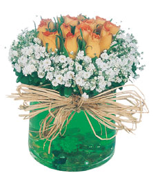  kavaklıdere çiçekçilik internetten çiçek satışı balgat Cam yada mika içerisinde 9 adet  gül aranjmani