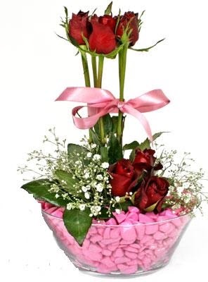  Ankara çiçekçilik İnternetten çiçek siparişi   SEVIYORUM DIYENLER 7 kirmizi gül tanzim 