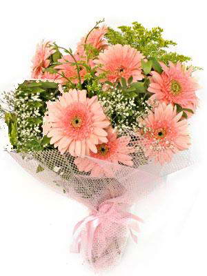  Ankara çiçekçilik çiçek satışı  11 adet gerbera çiçegi buketi