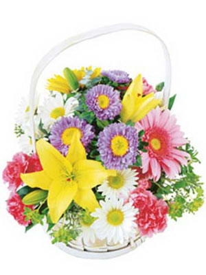  online çiçekçi , çiçek siparişi yenimahalle  Mevsim sepeti karisik mevsim çiçekleri