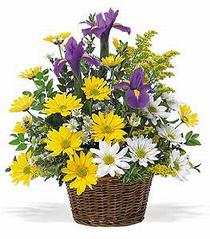  Ankara hacettepe çiçekçilik çiçek online çiçek siparişi çayyolu  çiçek klasik kir sepeti sevenlere