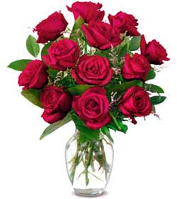  Ankara keçiören çiçekçilik online çiçek gönderme sipariş eryaman  1 düzine kirmizi gül sevenlere özel vazo gülleri