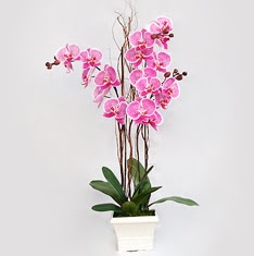  Ankara sevgilime cicekciler , cicek siparisi keçiören  2 adet orkide - 2 dal orkide