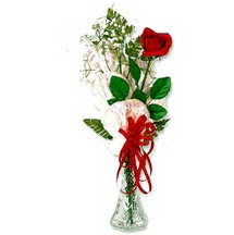  dikmen çiçekçilik çiçekçi mağazası online 1 adet kirmizi gül cam yada mika vazoda