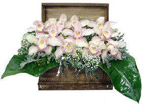  çiçekçilik ucuz çiçek gönder  sandik içerisinde 1 dal orkide