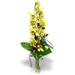  Ankara çiçekçilik İnternetten çiçek siparişi   cam vazo içerisinde tek dal canli orkide