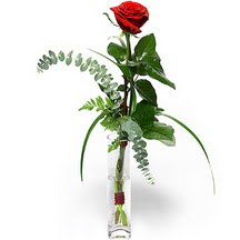  Ankara mağaza çiçekçilik 14 şubat sevgililer günü çiçek keçiören  Sana deger veriyorum bir adet gül cam yada mika vazoda