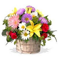 sepette karisik kir çiçekleri  Ankara oran çiçekçilik çiçek siparişi sitesi ucuz çiçekleri  görsel sepet 