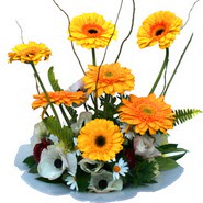 camda gerbera ve mis kokulu kir �i�ekleri  Ankara �i�ek �i�ek�i telefonlar� 