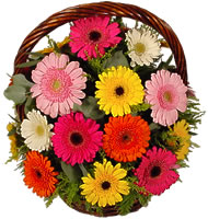 Sepet içerisinde sicak sevgi çiçekleri  çankaya çiçekçilik hediye çiçek yolla 