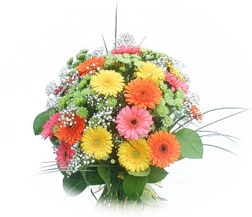 13 adet gerbera �i�egi buketi  Ankara ke�i�ren �i�ek�ilik online �i�ek g�nderme sipari� eryaman 